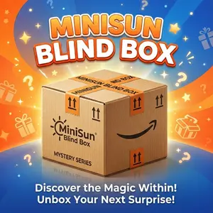 Minisun Blind Box Mystery Gift Box with 5 Potential Products