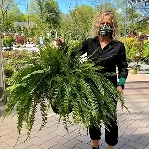 [Lifelike Boston Fern]2pcs/1pc Upgrade Genuine Encryption Lengthen Leaves Large Simulation Boston Fern Plants, 38/28/21 Lengthen Leaves Artificial Potted Hanging Fern Plants for Indoor and Outdoor Decoration in Home, Office and Garden decor