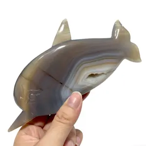 IG Crystal 1 Count Geode Agate Dolphin Crystal Healing Crystal Gem Reiki Healing Home Decor Crystal Jewelry Shop Pretty Crystals