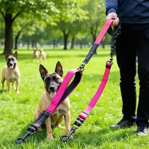Adjustable Hands-Free Double Dog Leash with Padded Comfort, Tangle-Free 360° Swivel Clasp - Perfect for Walking Two Dogs products Dual-Leash  for Twin Puppies easy control training walk pet medium lead comfortable grip