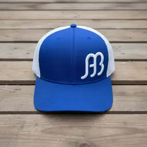 Anderson Bean Royal Blue & White Big AB 6 Panel Snap Back Hat