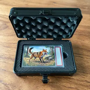 1pc For PSA CGC Graded Card Storage Box, Single Card Slab Holder, Aluminum Alloy Storage Box, Trading Card Organizer, Card Hobby Box for PSA CGC Graded Trading Cards, Card Slabs for PTCG TCG Games Graded Cards, Card Not Included