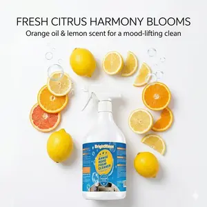 BrightRinse 1000ML Oil Stain Remover Spray - Household All Purpose Cleaner, Deep Stain Remover for Kitchen Grease, Dishwashing & Pot Cleaning Solution #SummerVibes