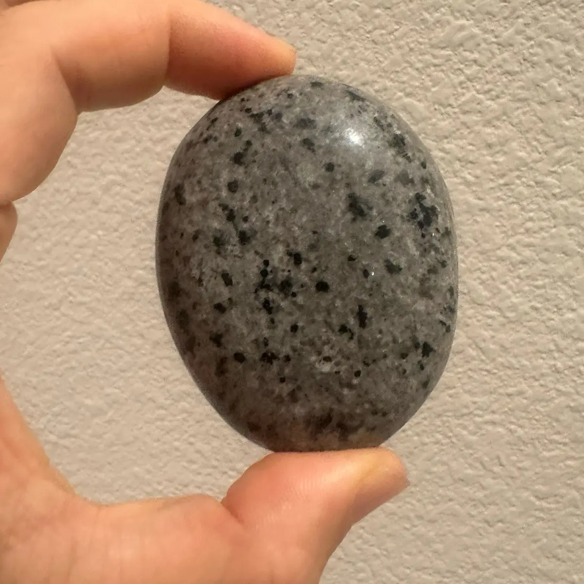 Yooperlite Palm Stone (Grade AA)