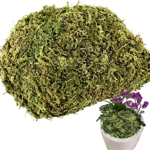 7OZ Artificial Fake Moss for Fake Plants Indoor- Premium Faux Craft Moss for Potted Plant, Fresh Forest Green for Hamsters Micro-Landscape Terrariums Centerpieces Decor