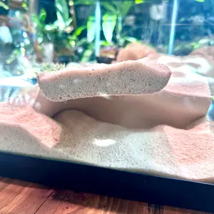 Corner Aquarium Cave for Aquatic Animals and Reptiles, Hideaway and Display Area, Ideal for Fish and Amphibians, Tank Decoration, Aquatic Landscapes