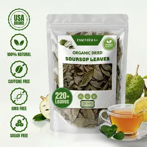 Premium Soursop Leaves – 4 oz (230+ Leaves) – Natural Herbal Tea Rich in Antioxidants for Wellness & Digestive Support