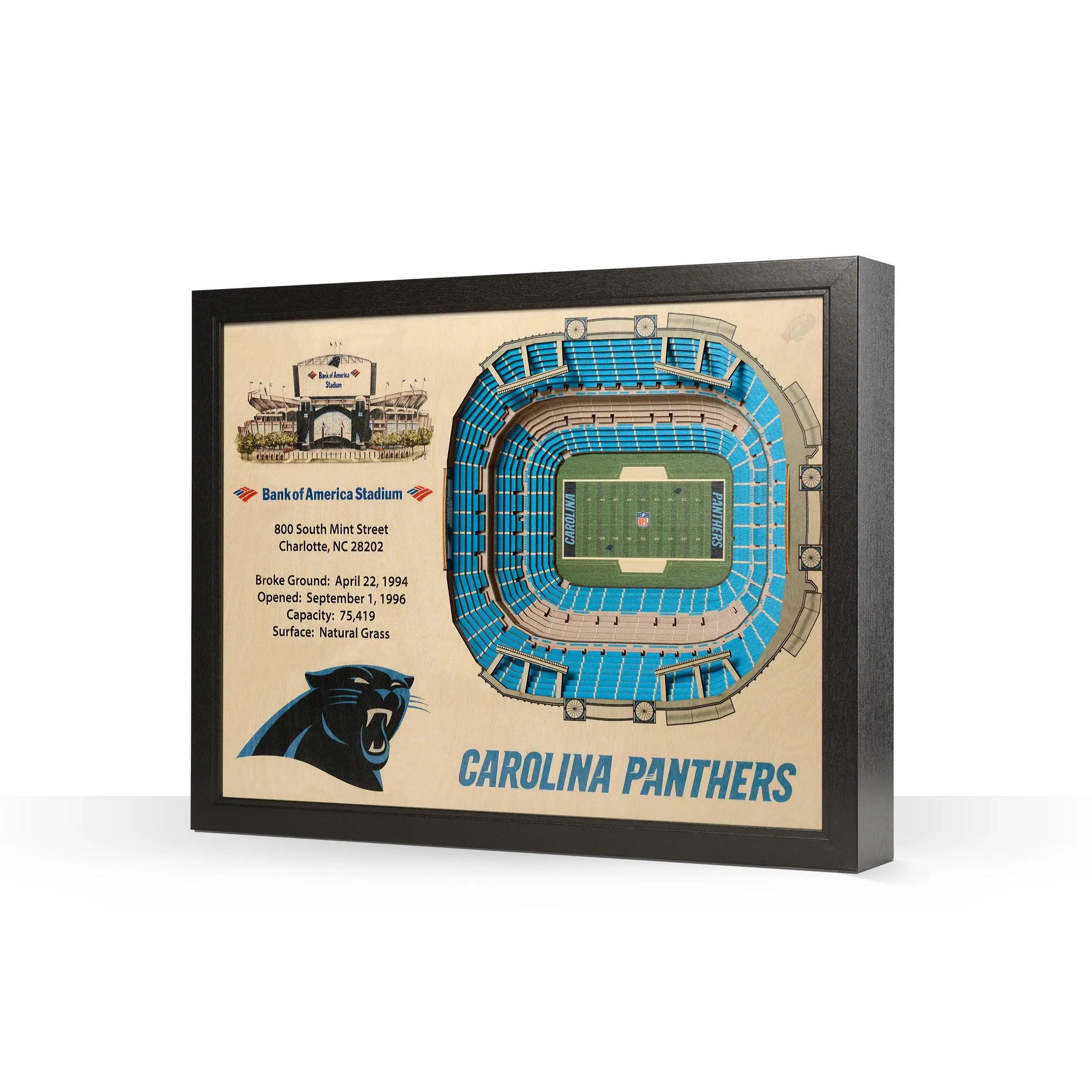 Carolina Panthers Bank of America Stadium 3D Stadiumview Wall Art