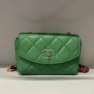 Pre-owned CHANEL Green Mini Flap Bag Limited Edition