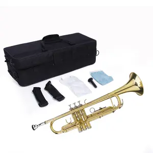 Beginner Bb Brass Trumpet with 7C Mouthpiece, Golden Alloy Body, Rose Brass Lead-Pipe, 4.88-in Bell Mouth, Double Discharge Valve, 21.46-in Length, 2.4 lbs Weight, Protective Hard Case Included