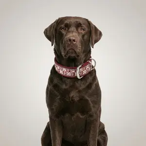 Boho Western Dog Collar, Adjustable Breathable Padded Pet Collar with Reflective Thread for Medium Large Dogs