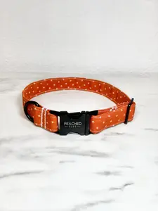 Amber Autumn Fi Compatible Collar