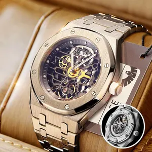 FEICE Men's Luxury Automatic Skeleton Watch with Luminous Waterproof Mechanical Movement Double Press Button Versatile Style for Any Occasion meteorite Watches