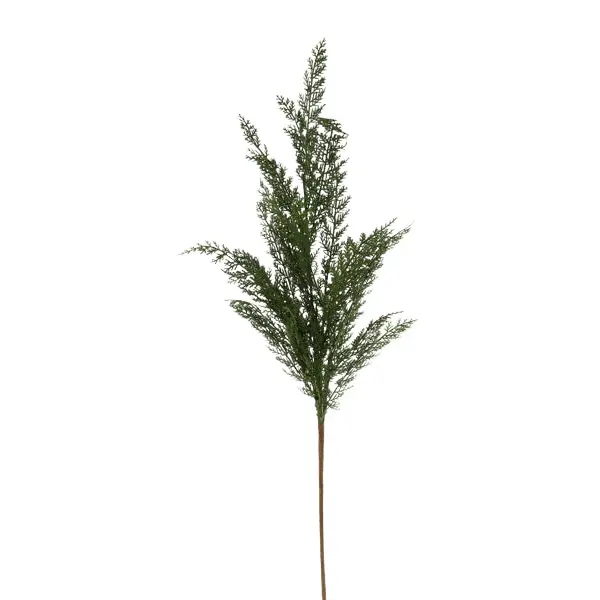 40" Arborvitae Spray