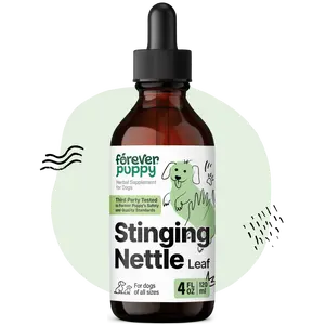 Stinging Nettle Leaf Drops for Dogs - Itching Skin Relief - Skin and Coat Supplement - Liquid Vitamins and Supplements for Soothing Care & Itch Relief - Sugar & Alcohol-Free - 4 fl oz