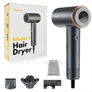 2025 New Two Mouth Negative Ion High Speed Hair Dryer Set - Quick Drying, Learless, Temperature Control, Gray Ionizer for Hair Salon & Barber Shop