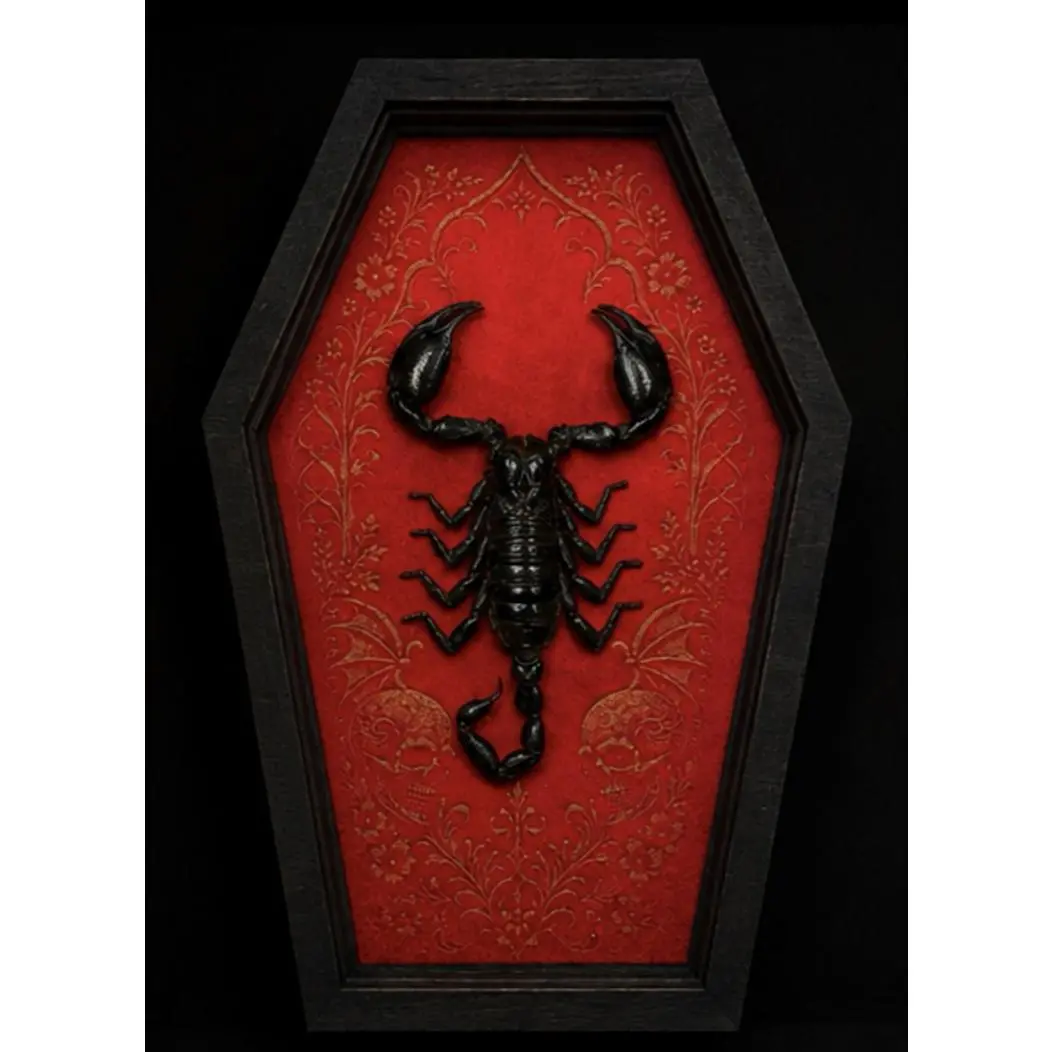 Real Scorpion Coffin Shadow Box Gothic Crimson Damask Oddities Display for Halloween Decor