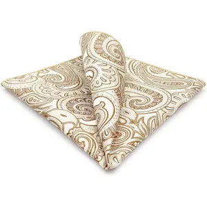 Mens Pocket Square Paisley Multicolor Large for Business Wedding