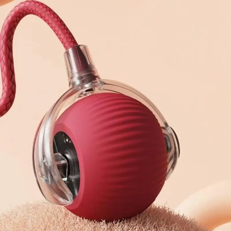 Automatic Cat Teaser Toy, Interactive Cat Teaser Toy with Rope, Pet Chasing Toy, Cat Teething Toy, Dog & Cat Accessories