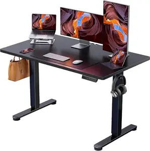 Ergear Height Adjustable Electric Standing Desk, 47.2 X 23.6 Inches Sit Stand up Desk, Memory Computer Home Office Desk (Black) ErGear