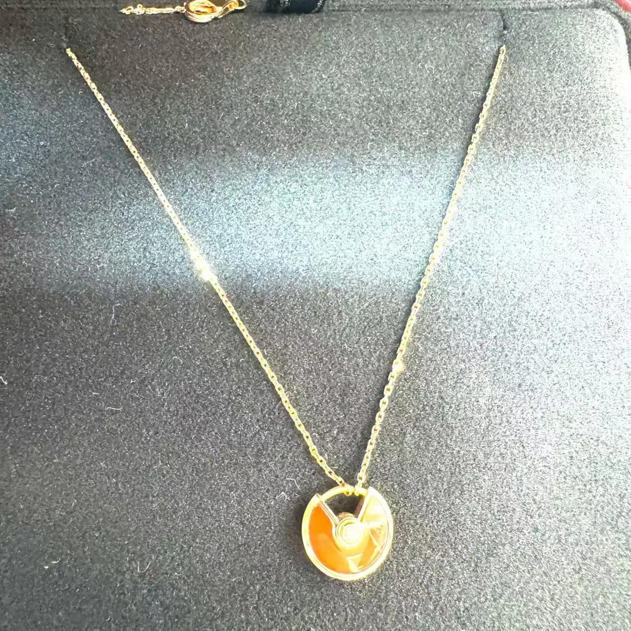 Pre-owned Cartier Carnelian Amulet Necklace N24388226