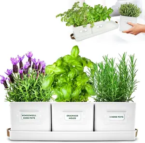 Planter Indoor - Set of 3 Warmstone Indoor  Garden Pots for  with Leather Handled Tray - Window Sill  Shelf -  Pots with Drainage Holes and Labels