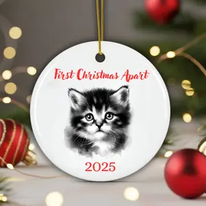Long Distance Christmas Ornament - Ceramic Keepsake with a Fluffy Kitten, "First Christmas Apart 2025" Text, Thinking of You Gift for Loved Ones. Tree Glossy Print Round Decoration 1 Side