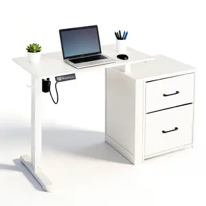 Electric Height Adjustable Standing Desk, Ergonomic Home Office Desk with Dual Storage Drawers, Size for Small Spaces,Sit Stand Computer Desk With Hook