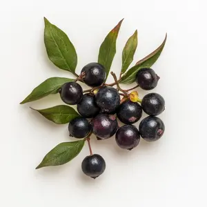 Chasteberry Vitex Premium Organic Berry for Women's Wellness & Hormonal Harmony - Sustainably Harvested & Pure Formula