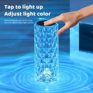 16 Color RGB Crystal Table Lamp with Remote Control Touch Sensor USB Charging Rose Diamond Design for Bedroom Ambient Lighting