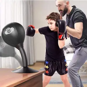 Portable Punching Bag