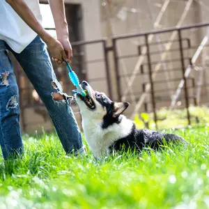 Gigwi Suppa Puppa Squeaky Rabbit Squeaky Chew Toy for Puppies, Small Dogs, Blue, Squeaky Chew Toys