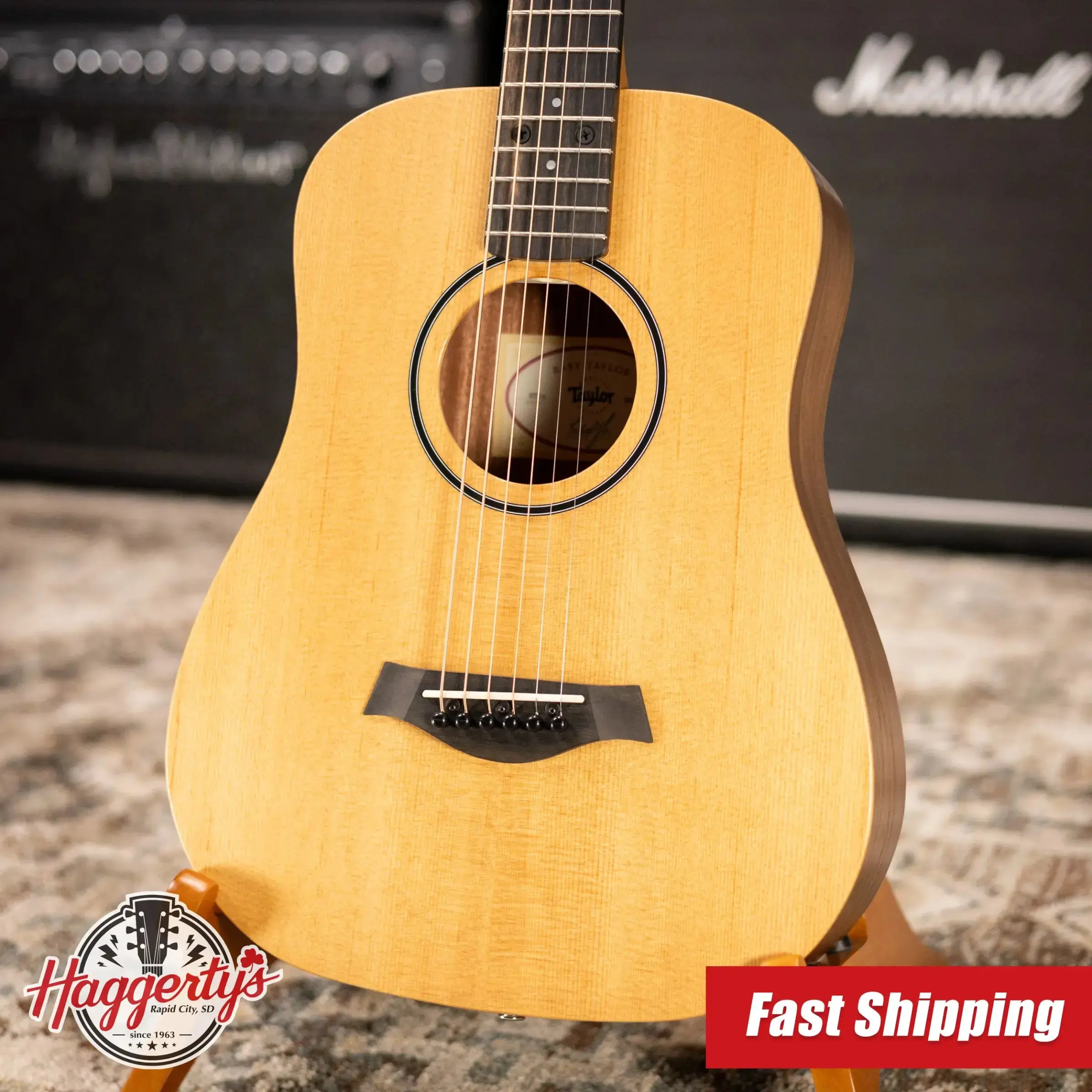 Taylor BT1e Baby Taylor Acoustic/Electric Guitar with Gig Bag