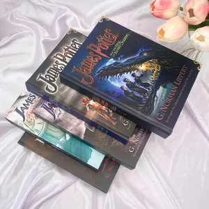 James Potter Series by G. Norman Lippert Hardcover Collector's Edition with Metal Corners Fantasy Book