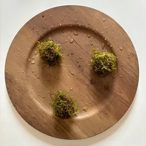 Java Moss Aquatic Plant Packs-Can grow floating or attached to decor and driftwood! Easy, low-tech. Great for Bettas!