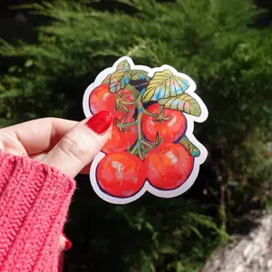 Tomatoes Vinyl Sticker Waterproof Option Cottagecore Tomato Sticker for Laptop Water Bottle or Phone Ft Original Artwork