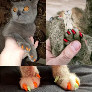 Cat Nail Caps 40pcs Pet Nail Covers, Cat Claw Protection Set, Easy-To-Use Feline Nail Guards, Essential Pet Grooming Supplies