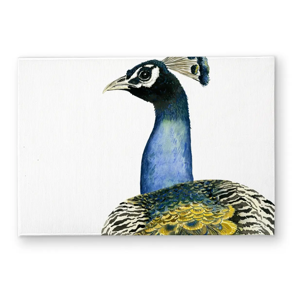 360 stand Peacock Area Rug, CODM1724U5W18I 17x24 in. Polyester Loop Face Watercolor Print Door Mat with Bird Motif, Indoor-Outdoor Textile for Entryway Use, Alternative Art Doormats, Animal Design Doormats, Bohemian Pattern Mat, Decorative Rug, Floor Rug