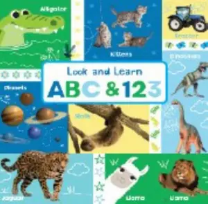 USED-Look and Learn ABC and 123 (10 x 10 Board Book) — Big Alphabet and Numbers Learning Book for Toddlers and Preschoolers by Page Publications (Unknown)