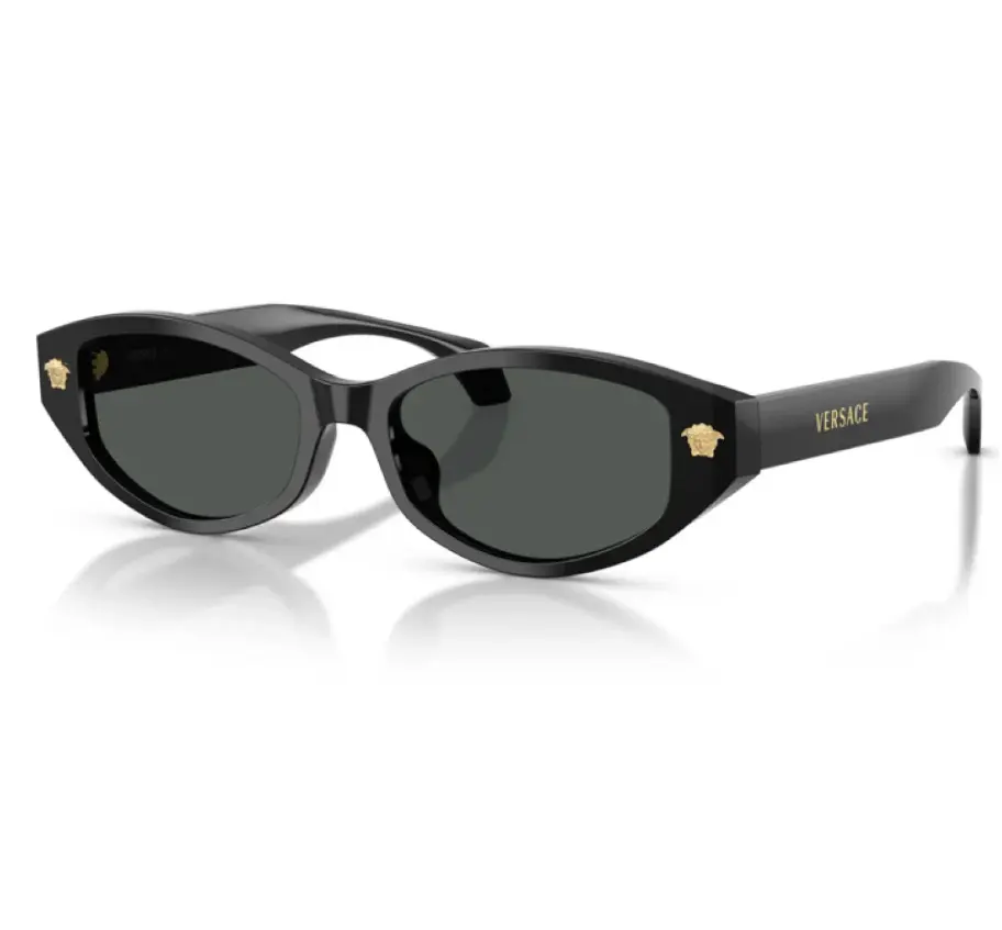VERSACE Women's Sunglasses VE4512D