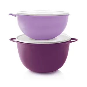 Tupperware Thatsa Bowl Thatsa 32 cup & Mega Bowl 42 cup Set