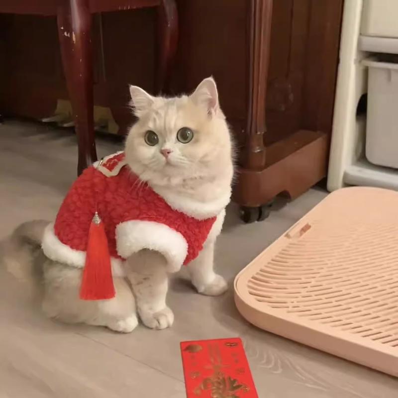 Chinese New Year Tang Suit Fluffy Warm Cotton-padded Jacket for Golden Retriever Ragdoll British Shorthair Kitten Anti-shedding Two-piece Winter Clothes