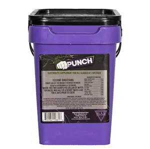 Punch
