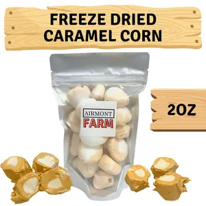 Freeze Dried Candy Caramel Corn Salt Water Taffy 2 oz - Cut To Bite Sized Pieces - Ships In Box - Deliciously Crunchy, Intense Flavor, Lightweight Snack