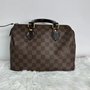 Pre-owned Louis Vuitton Coated Canvas Tote Bags Speedy 25 Damier Ebene Handbag D8051921