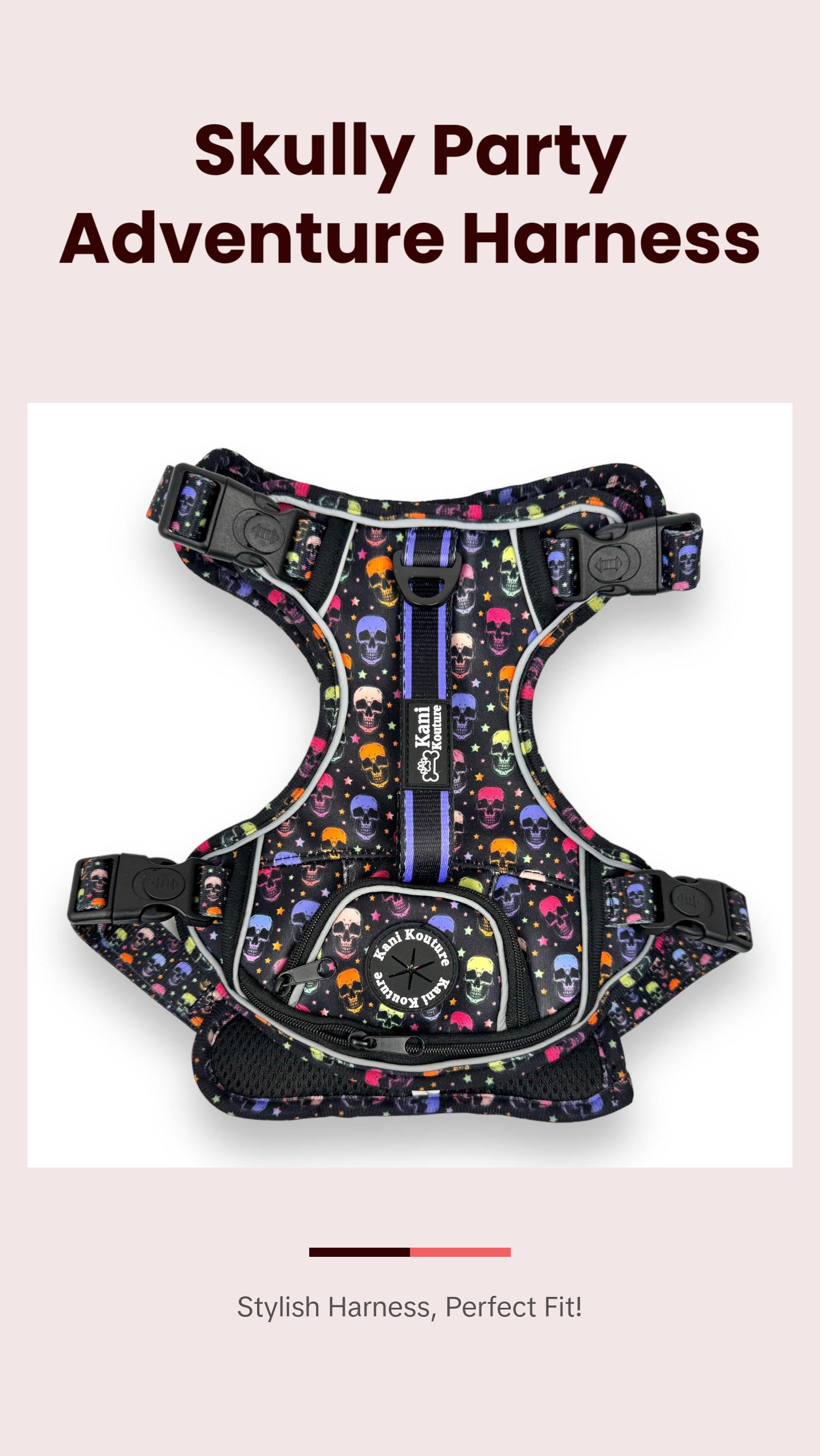 Skully Party - Adventure Harness