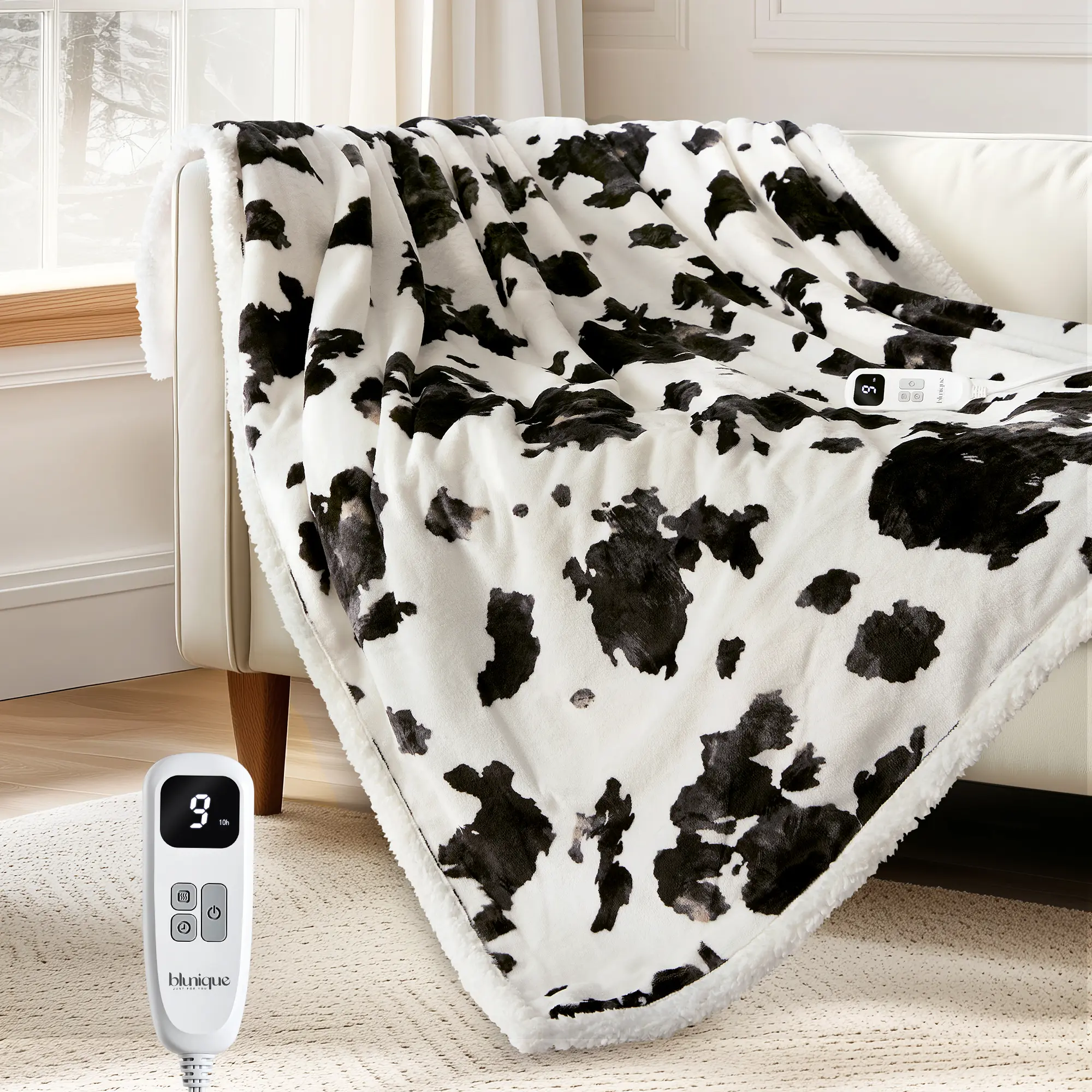 Black  White Cow