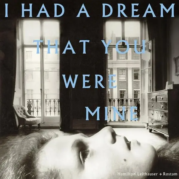 Hamilton / Rostam Leithauser - I Had A Dream That You Were Mine (Vinyl LP)
