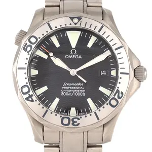 Pre-owned Omega  Titanium  Small Leather Goods Seamaster Pro Automatic