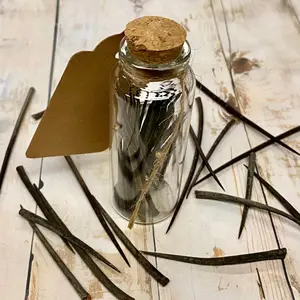 Apothecary Bottle of Hawthorn Thorns, Oddities for Decoration, Curios for Protection, Natural Curios